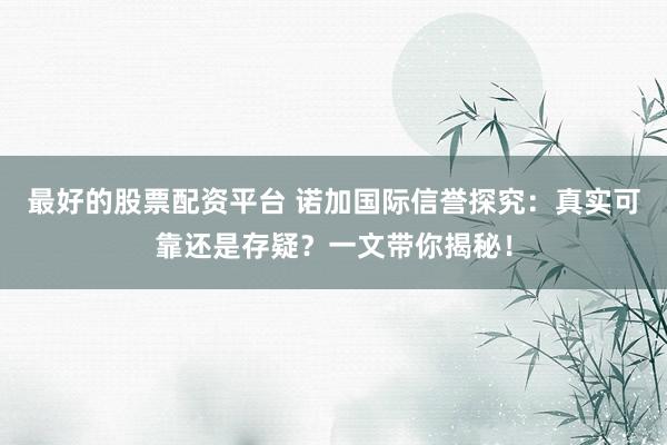 最好的股票配资平台 诺加国际信誉探究：真实可靠还是存疑？一文带你揭秘！