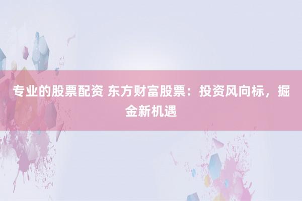 专业的股票配资 东方财富股票：投资风向标，掘金新机遇