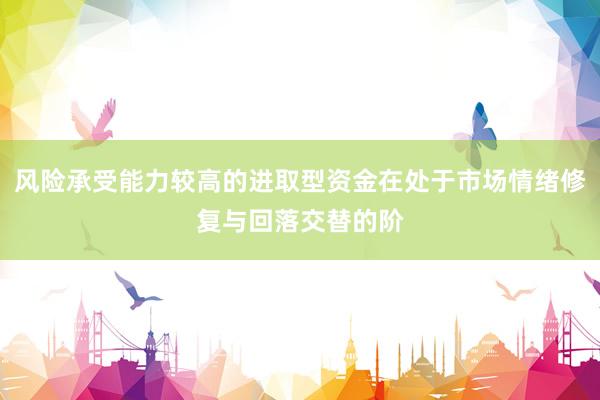 风险承受能力较高的进取型资金在处于市场情绪修复与回落交替的阶