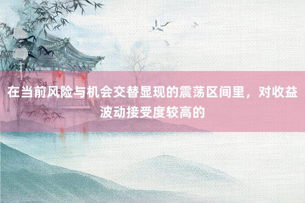 在当前风险与机会交替显现的震荡区间里，对收益波动接受度较高的