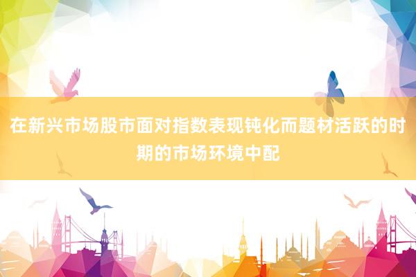 在新兴市场股市面对指数表现钝化而题材活跃的时期的市场环境中配