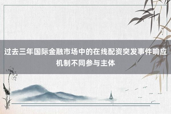过去三年国际金融市场中的在线配资突发事件响应机制不同参与主体