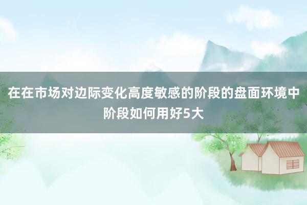 在在市场对边际变化高度敏感的阶段的盘面环境中阶段如何用好5大