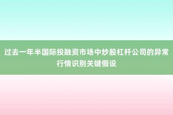 过去一年半国际投融资市场中炒股杠杆公司的异常行情识别关键假设