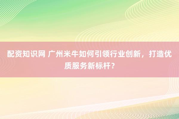 配资知识网 广州米牛如何引领行业创新，打造优质服务新标杆？