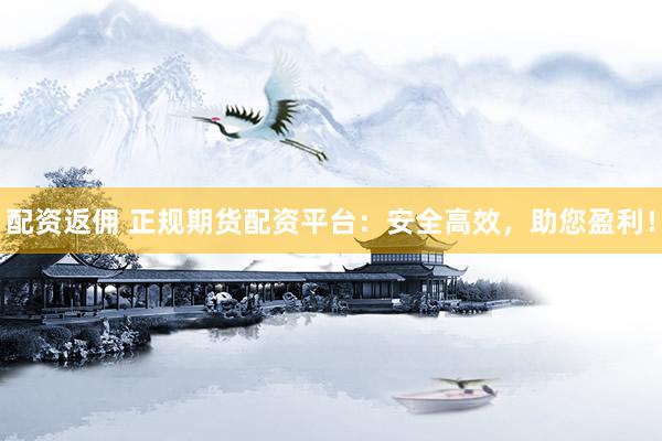 配资返佣 正规期货配资平台：安全高效，助您盈利！